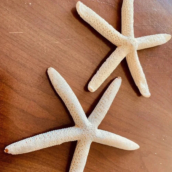 Two Piece Starfish Set Home Decor - Picture 2 of 3